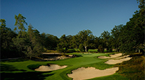 golf-field